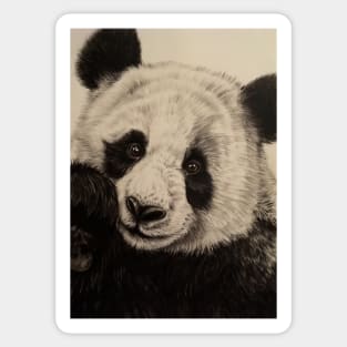 Giant Panda Sticker